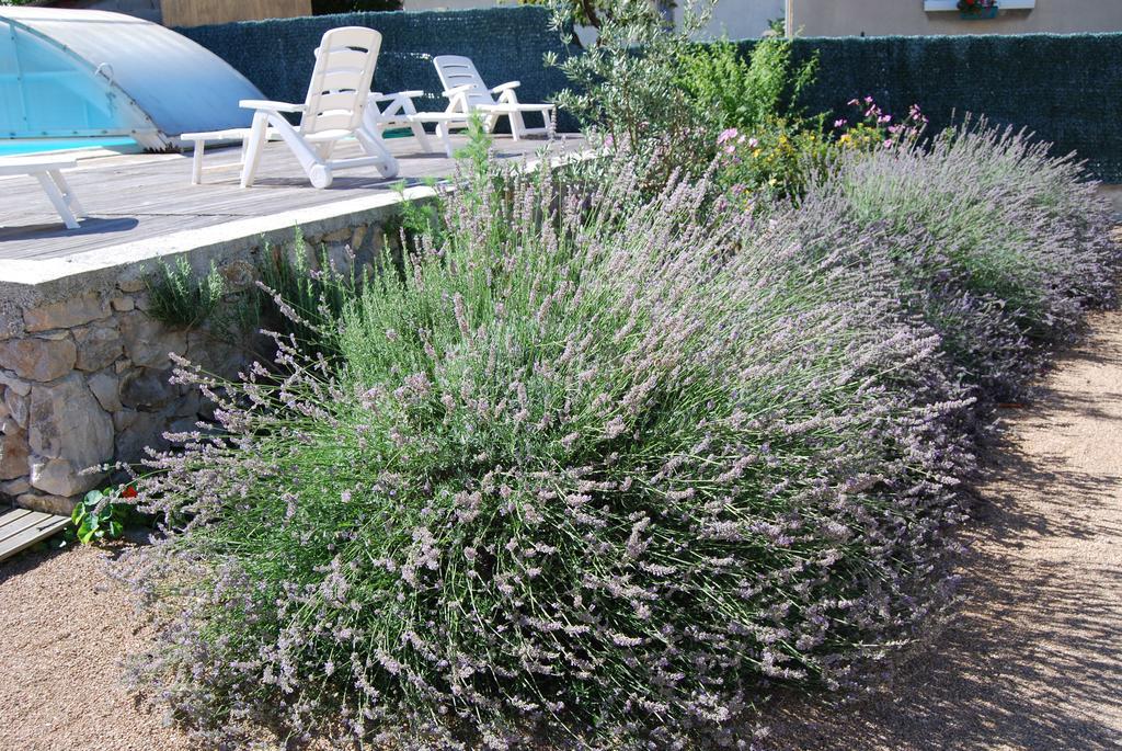 Les Terrasses De Castelmerle Niaux 외부 사진